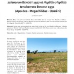 Note sur la nidification dans le sol de deux Hoplitis du Maroc : Hoplitis (Anthocopa) zaïanorum BENOIST 1927 et Hoplitis (Hoplitis) tenuisserata BENOIST 1950 (Apoidea – Megachilidae – Osmiini)