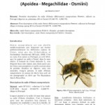 Description du mâle d’Osmia (Helicosmia) nasoproducta FERTON 1909 (Apoidea – Megachilidae – Osmiini)